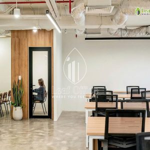 Circo Tran Quoc Thao 10