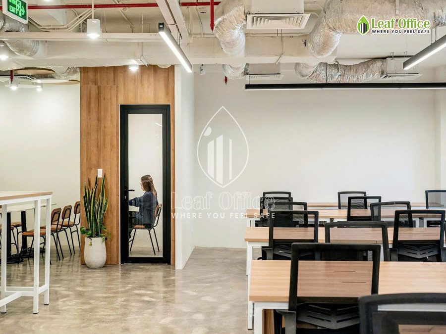 Circo Tran Quoc Thao 10