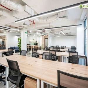 Circo Tran Quoc Thao 12