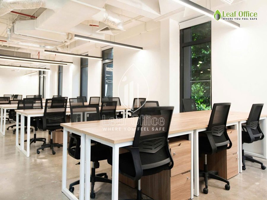 Circo Tran Quoc Thao 13