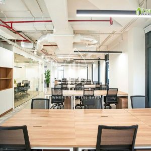 Circo Tran Quoc Thao 6