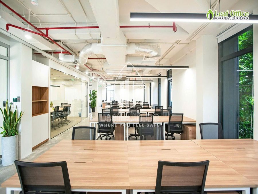 Circo Tran Quoc Thao 6