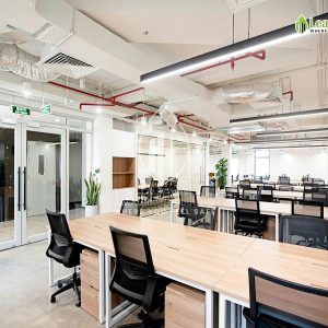 Circo Tran Quoc Thao 9