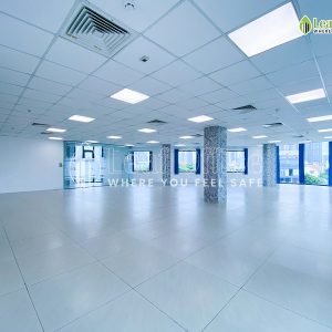 Dien Tich Cho Thue Hq Tran Nao 1