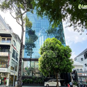 Ha Phan Ton That Tung 2