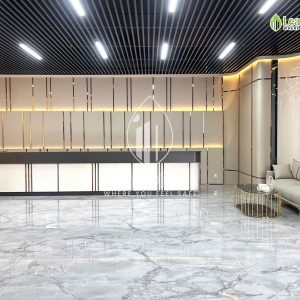 Le Tan Dashaus The Interlace Cach Mang Thang 8