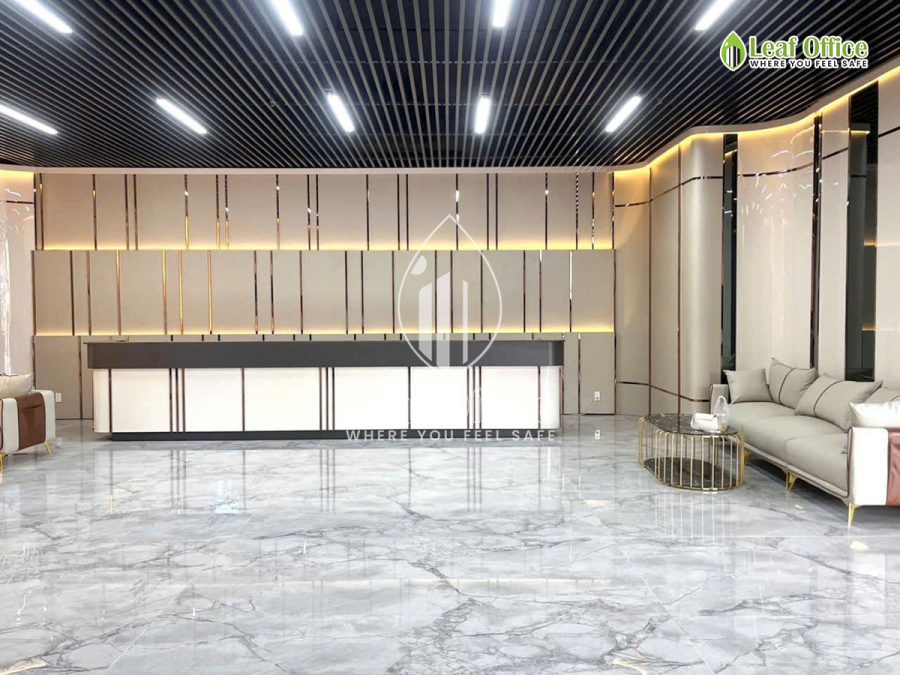 Le Tan Dashaus The Interlace Cach Mang Thang 8