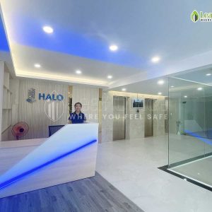 Le Tan Halo Dinh Bo Linh 1