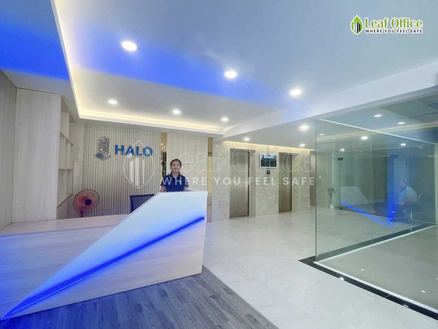Le Tan Halo Dinh Bo Linh 1