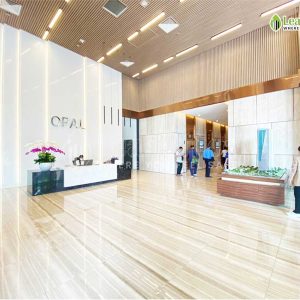 Le Tan Opal Tower Removepics