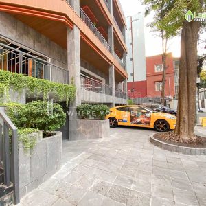 Loi Ra Vao Dashaus Tran Nhat Duat