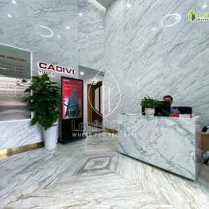 Sanh Le Tan Cadivi Nam Ky Khoi Nghia