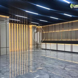 Sanh Tang Tret Dashaus The Interlace Cach Mang Thang 8