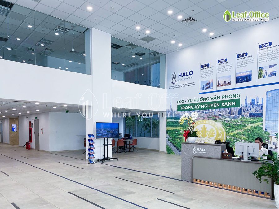 Tang Tret Halo Signature Dien Bien Phu