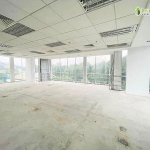 Van Phong Central Park Building 117 Nguyen Du 3 Removepics