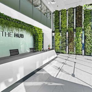 Van Phong Hub Building Removepics