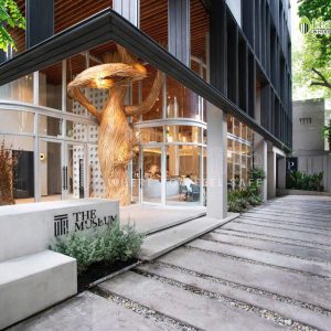 Van Phong Tron Goi Circo Dien Bien Phu 7