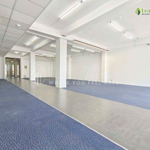 Dien Tich Cho Thue Halo Nguyen Xi 3