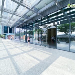 Loi Vao Cobi 1 Hoang Van Thai 1