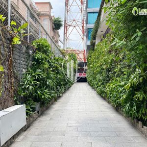 Loi Ra Vno Pasteur 1