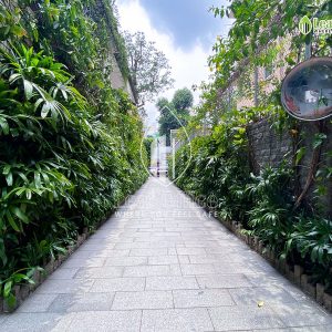 Loi Vao Vno Pasteur 1
